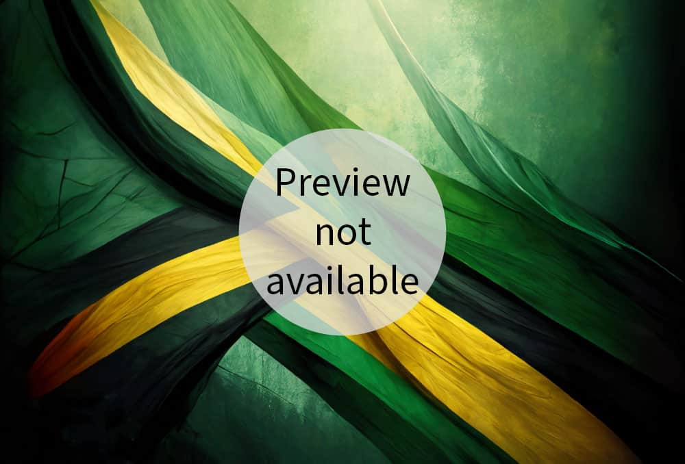Preview not available
